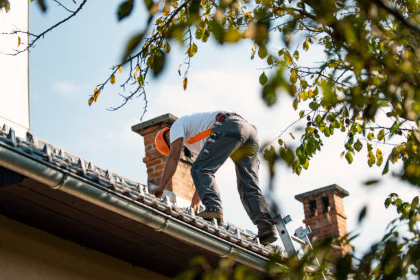 Best Storm Damage Roof Repair  in Bard College, NY